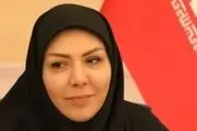 ضریب نفوذ خدمات صندوق ضمانت صادرات به استانداردهای جهانی رسید