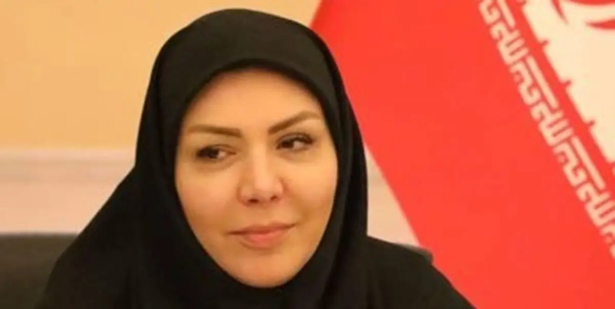 ضریب نفوذ خدمات صندوق ضمانت صادرات به استانداردهای جهانی رسید