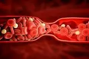 11 گام سالم تولید خون سالم در بدن