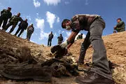 گور جمعی ۱۸ زن و کودک در شمال موصل کشف شد