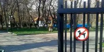 تابلوی ورود ممنوع حیوانات در تمامی پارک‌ها نصب شد