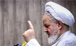 سعیدی: انقلاب اسلامی یک قدرت بالنده و طوفنده در دنیاست