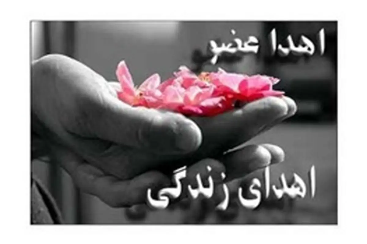 مبانی فقهی و حقوقی پیوند اعضای بدن با رویکردی بر دیدگاه امام خمینی(ره)