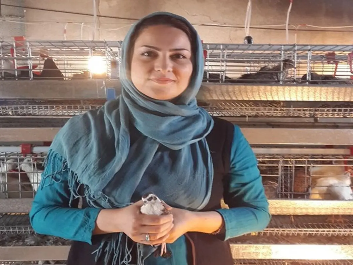 سند هزار متری برای تایید ۱۰هزار بلدرچین