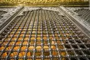 نمایی زیبا از داخل ضریح مطهر امامین عسکریین(ع) که تاکنون ندیده اید/ عکس
