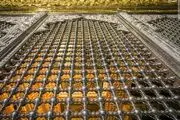 نمایی زیبا از داخل ضریح مطهر امامین عسکریین(ع) که تاکنون ندیده اید/ عکس