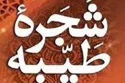 سادات منسوب به امام علی(ع) مى‏ باشندنه رسول‏(ص)؟