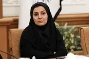 صادق: رئیس‌جمهور پیگیر توافق ترانزیتی با روسیه و آذربایجان بود
