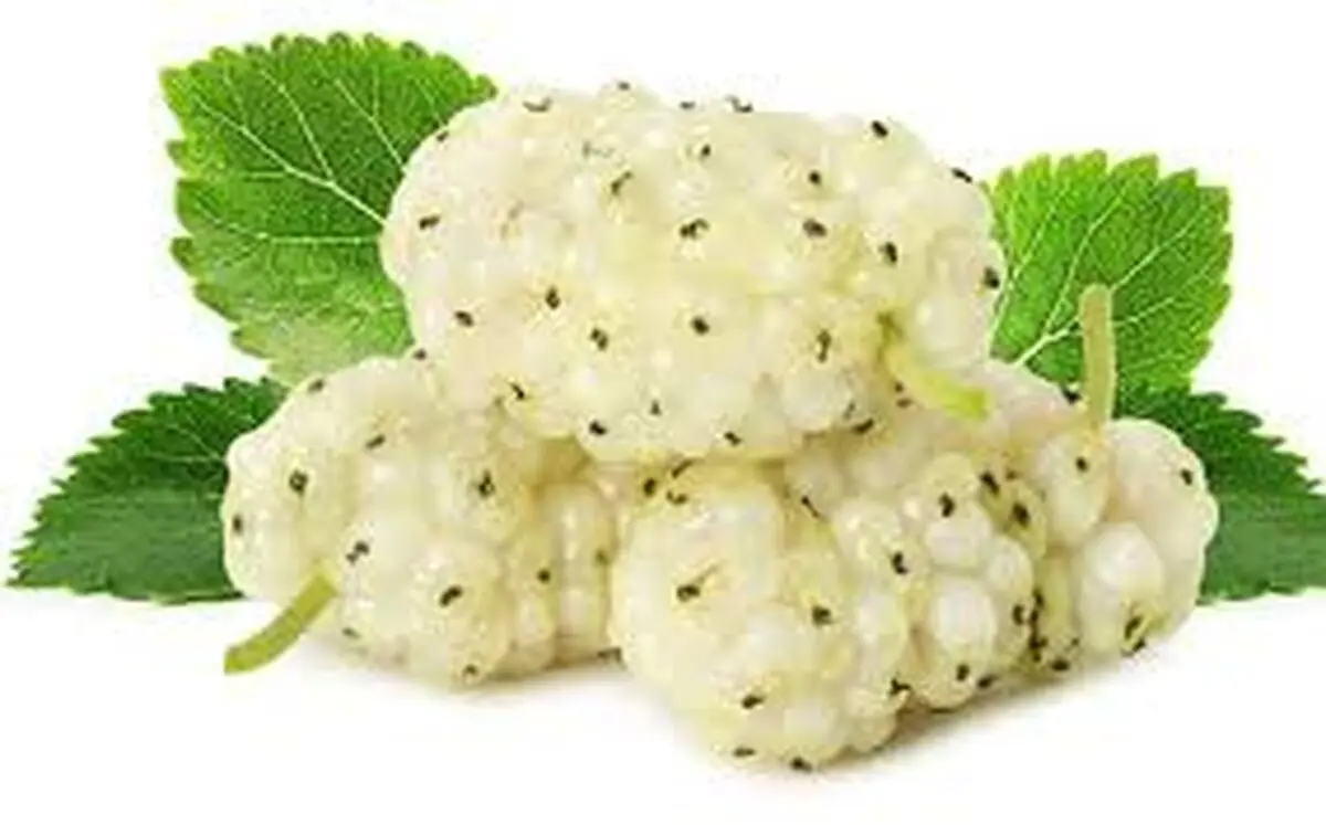 میوه تابستانی که با خوردن آن سکته نمی کنید