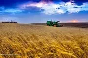 اصلاح قیمت خرید تضمینی گندم همچنان در بلاتکلیفی