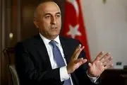 چاووش‌اوغلو: رئیس عفو بین‌الملل ترکیه عضو سازمان گولن است