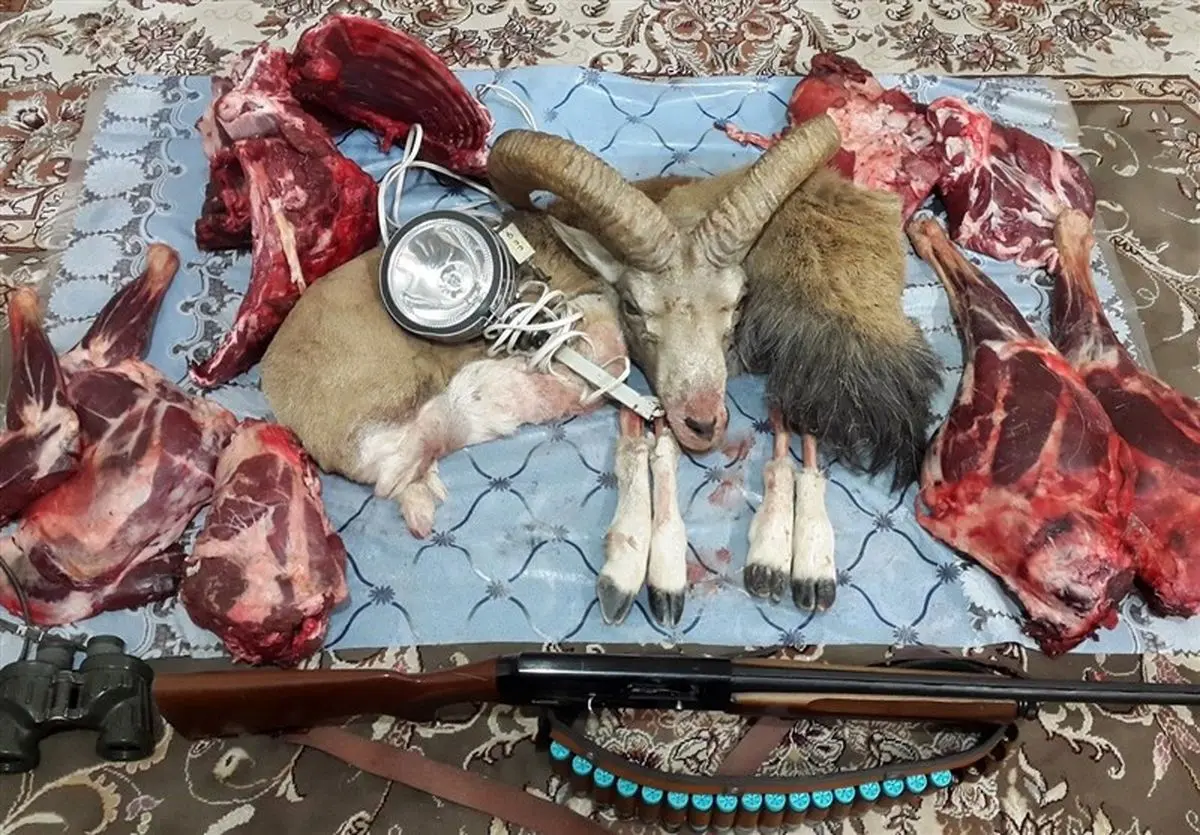 شکارچی غیرمجاز در آرادان دستگیر شد