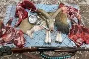 شکارچی غیرمجاز در آرادان دستگیر شد‌ 