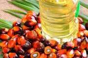 روغن پالم به پیشرفت سرطان کمک می کند