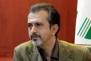 وضعیت اسف بار شکار و کشتار پرندگان در فریدونکنار