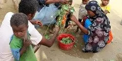 رسوایی بزرگ برنامه جهانی غذا در یمن