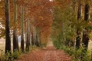  طبیعت زیبای پاییزی ارومیه/ گزارش تصویری