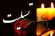 واکنش چهره‌های هنری به سقوط هواپیمای تهران -یاسوج/تصاویر
