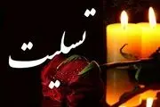 واکنش چهره‌های هنری به سقوط هواپیمای تهران -یاسوج/تصاویر
