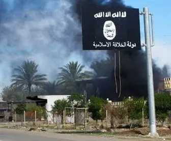 داعش به فروش " حشیش " روی می آورد
