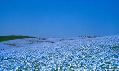 n00096731-r-b-001