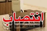زلزله مدیریتی در سازمان منطقه آزاد قشم با تودیع و معارفه دسته جمعی