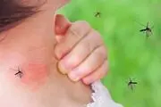 چه کار کنیم که «پشه‌ها» به ما علاقه نداشته باشند؟