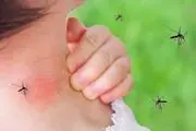 چه کار کنیم که «پشه‌ها» به ما علاقه نداشته باشند؟