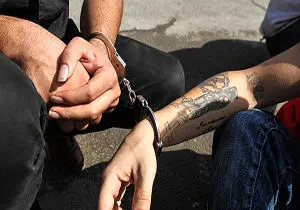 دستگیری ۲۵ نفر اراذل و اوباش سابقه‌دار در اردبیل
