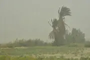 
چهار برابری شدن غلظت ذرات معلق در هوا
