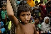 روایت نسل کشی مسلمانان میانمار در یک مستند