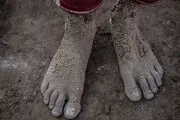 اینجا تهران است نه زیر پونز نقشه ایران!/گزارش تصویری