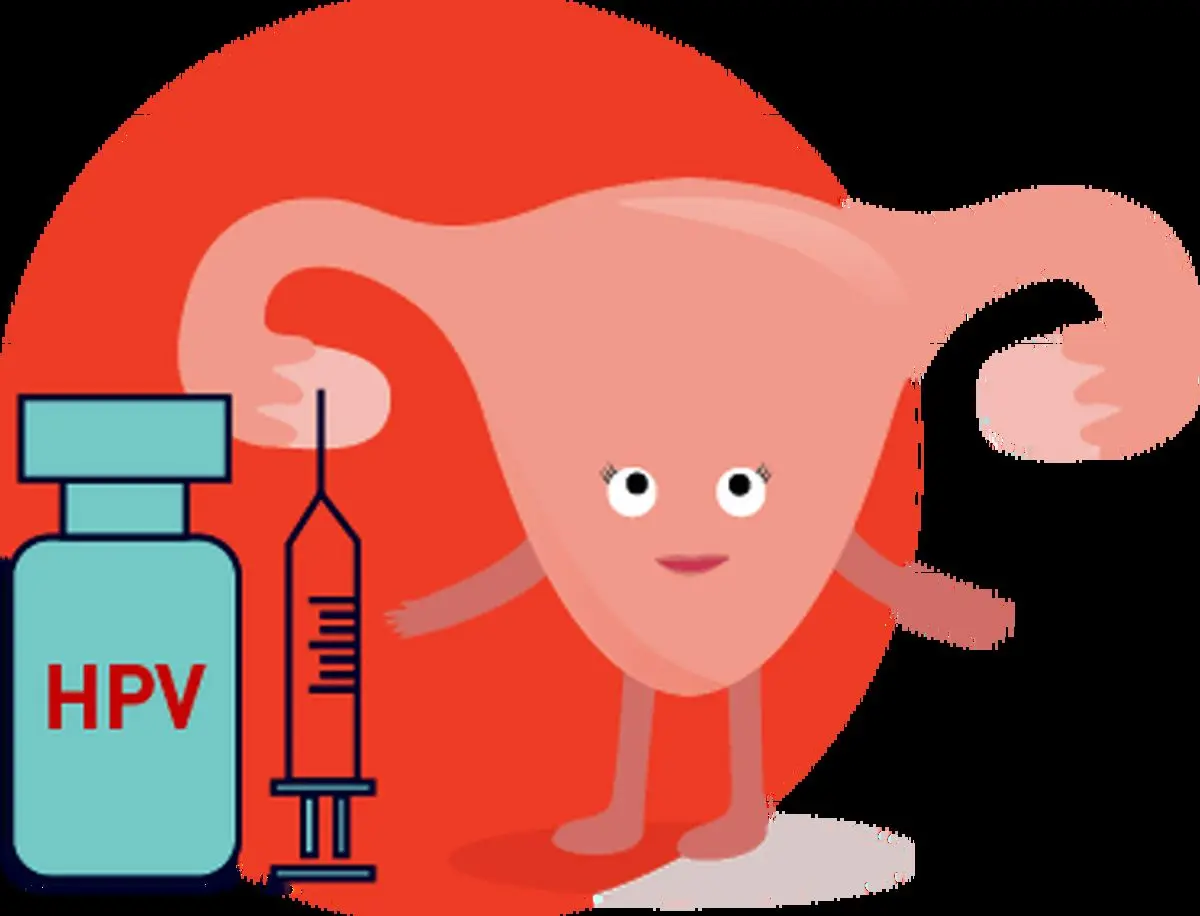 آیا HPV از مادر به کودک منتقل میشود؟