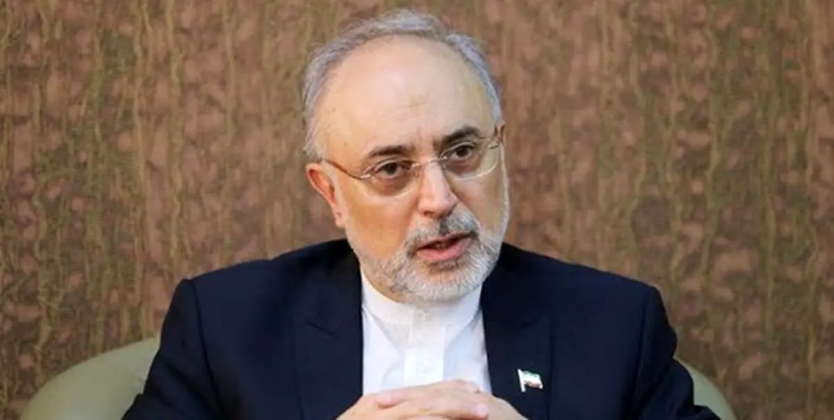 تشکر رئیس سازمان انرژی اتمی از دولت و ملت اتریش