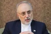 میزان اورانیوم غنی شده ۲۰ درصد به ۵۰ کیلوگرم رسید