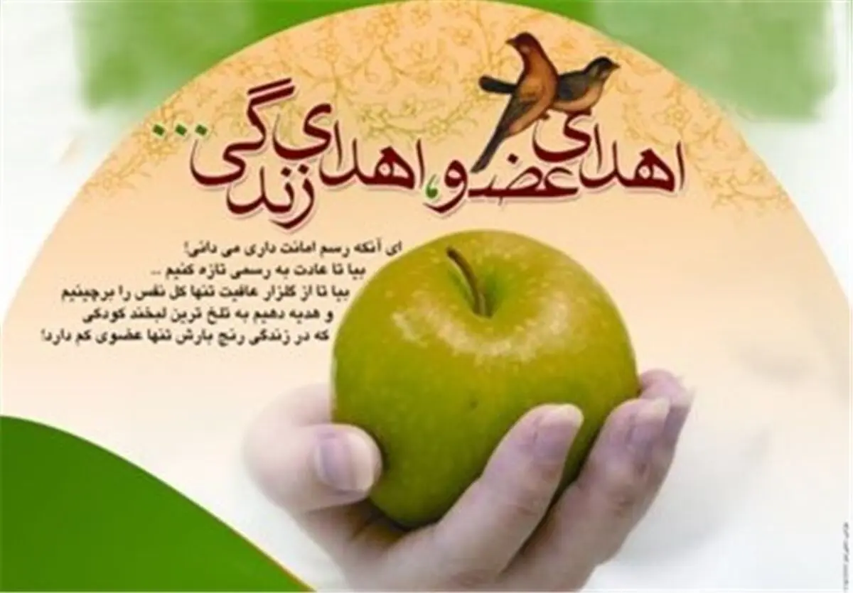  اهدای اعضای بدن شهروند یاسوجی جان ۶ بیمار را نجات داد‌ 