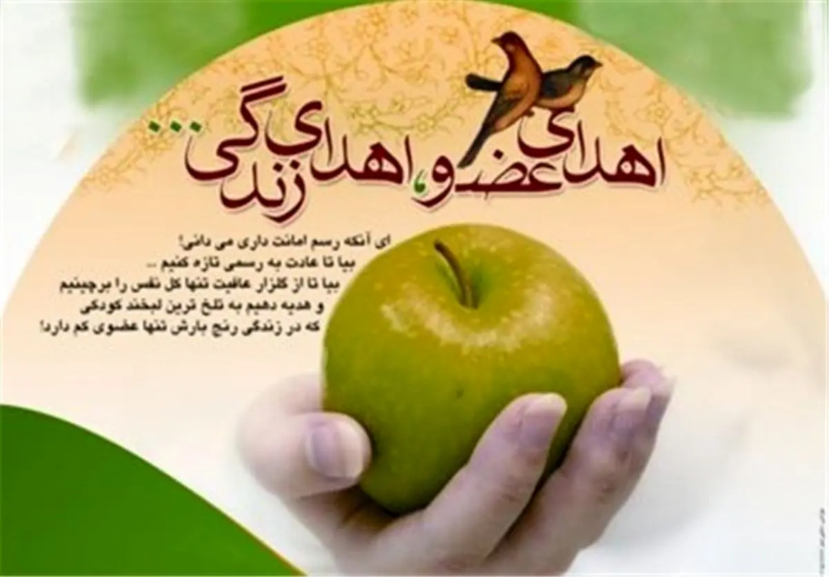  اهدای اعضای بدن شهروند یاسوجی جان ۶ بیمار را نجات داد‌ 