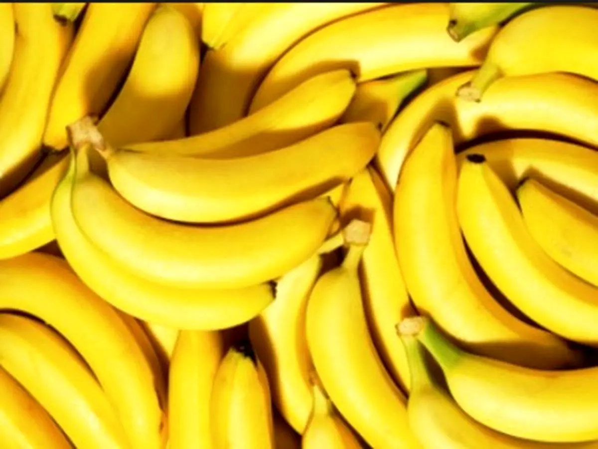 3 روزه با موز لاغر شوید