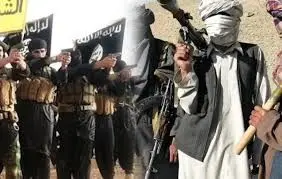  داعش و طالبان در افغانستان به جان هم افتادند