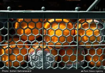 ur6FHinOzoDx
