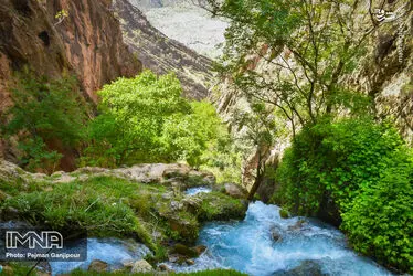 GqOL58ceMBVW