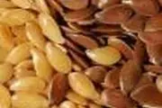 	گیاه کتان در روستای مجنون بوشهر کشت شد