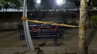 حادثه برق گرفتگی پارک لاله تهران
