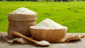 عرضه برنج با قیمت ۳۲ و ۴۲ هزار تومان