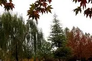 خزان زیبای یاسوج /گزارش تصویری