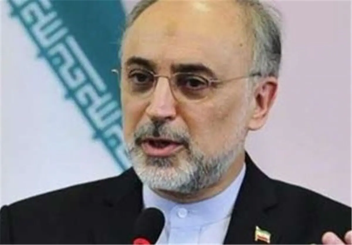 پیام علی‌اکبر صالحی به سید حسن نصرالله