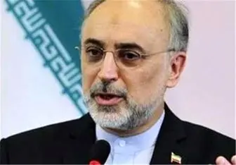 ایران اهداف منطقی برای گسترش برنامه صلح آمیز هسته‌ای خود دارد