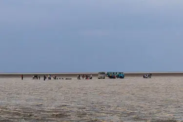 173042210