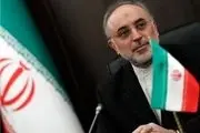 صالحی: چهار خرابکار هسته‌یی در اختیار وزارت اطلاعات