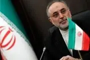 صالحی: چهار خرابکار هسته‌یی در اختیار وزارت اطلاعات